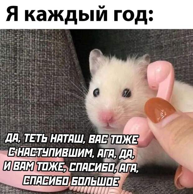 Смешные картинки 27 декабря 2021 года