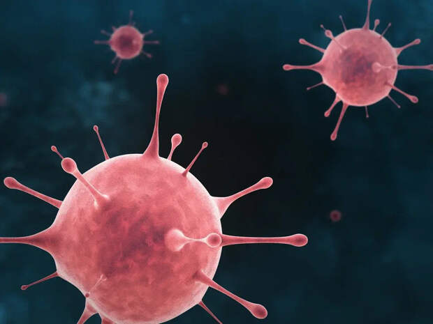 Ученые нашли ключевую причину «черной смерти» COVID-пациентов