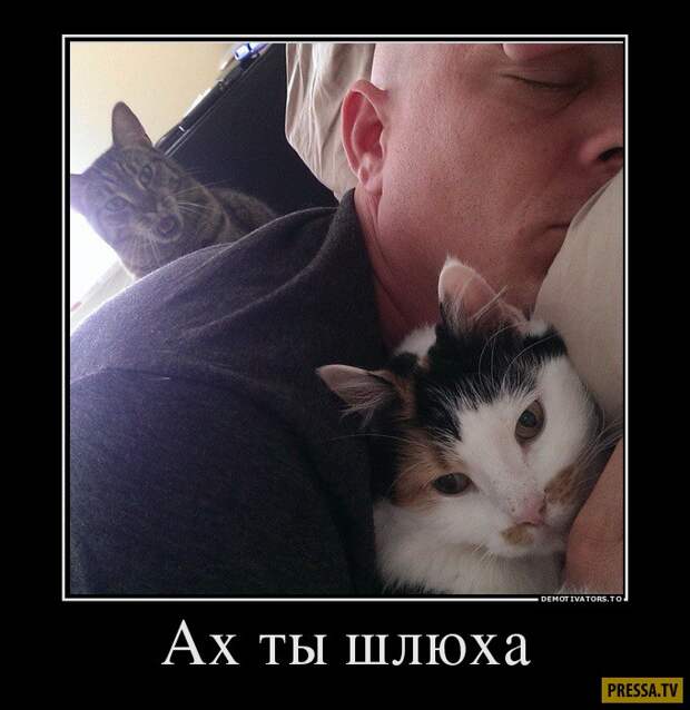 Демотиваторы (42 фото)