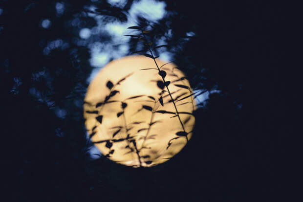 Лунный календарь на октябрь 2026 года: фазы Луны, благоприятные дни для новых начинаний