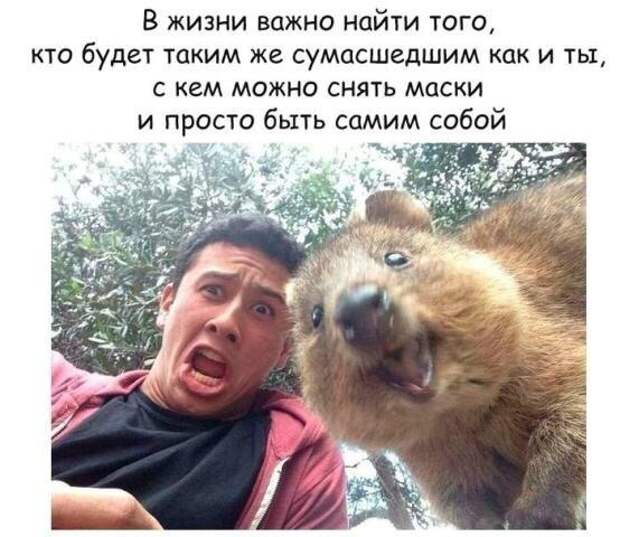 9U7JX_ONKtk