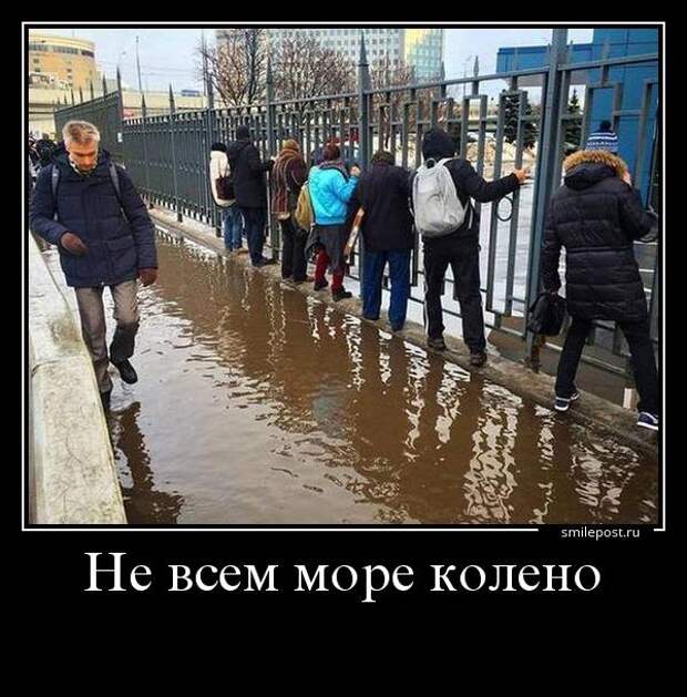 Прикольные демотиваторы для хорошего настроения (11 фото) Прикольные демотиваторы для хорошего настроения (11 фото)