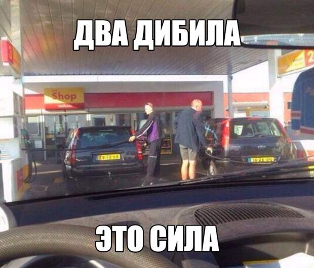 Смешные картинки с надписями прикол, юмор