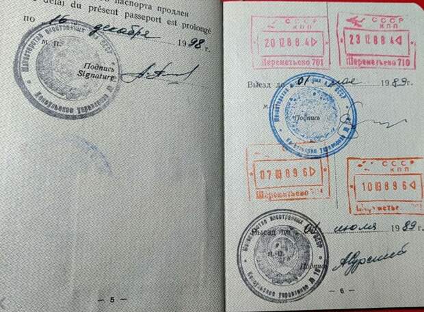 Весь паспорт в визах - не сидел человек на месте  (https://meshok.net/item/179671258)