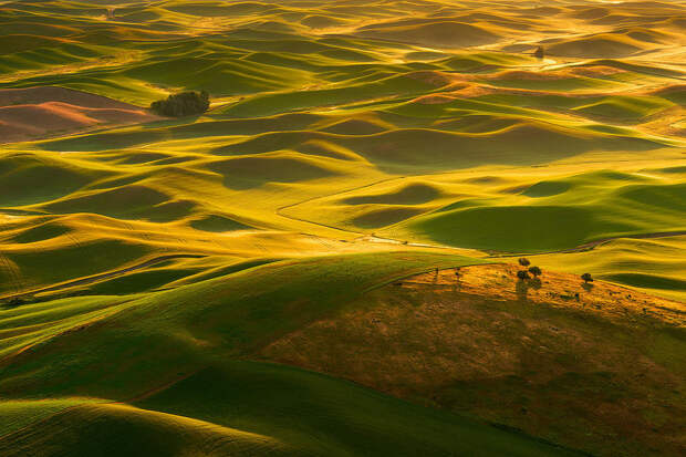 palouse-swells-dan-mihai.jpg