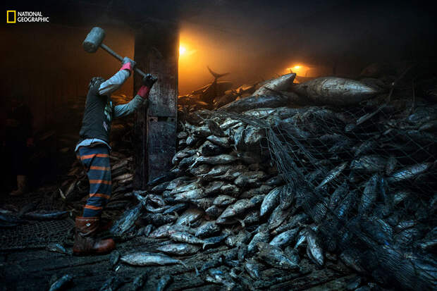 best-photos-2016-natgeo-national-geographic-82