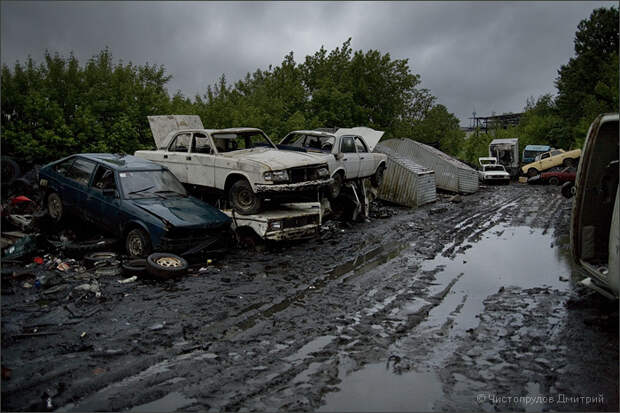 12 загадочных автосвалок, где можно найти удивительные автомобили