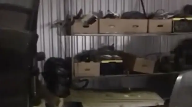 В Подмосковье пресекли деятельность мастерской по разборке краденых автомобилей