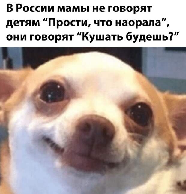 Юмор про детей в России