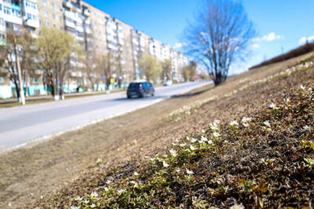 Когда в Краснодарском крае ожидается потепление, рассказали синоптики