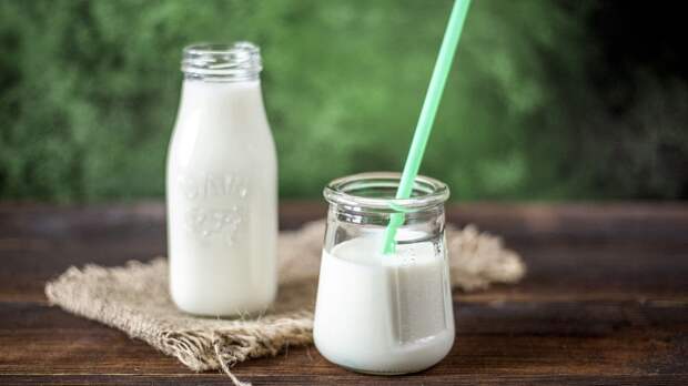 Микробиолог Соколова назвала вредные для употребления в жару молочные продукты