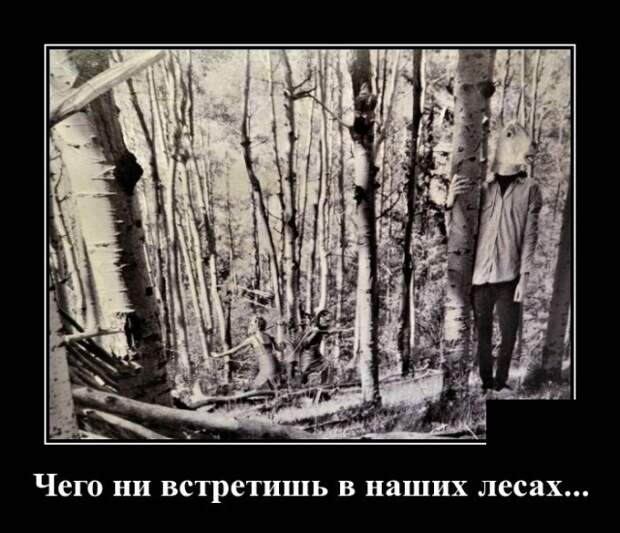 Демотиваторы (30 фото)