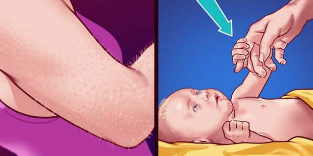 Бесполезные части человеческого тела, которые могли быть полезны нашим предкам