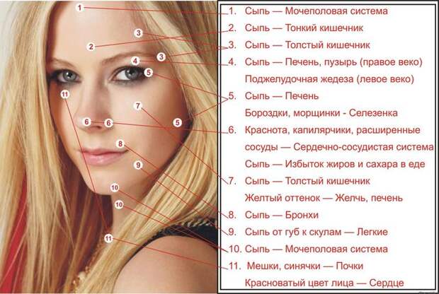 Карта прыщей на лице: что они означают? Расположение прыщей на лице и болезни