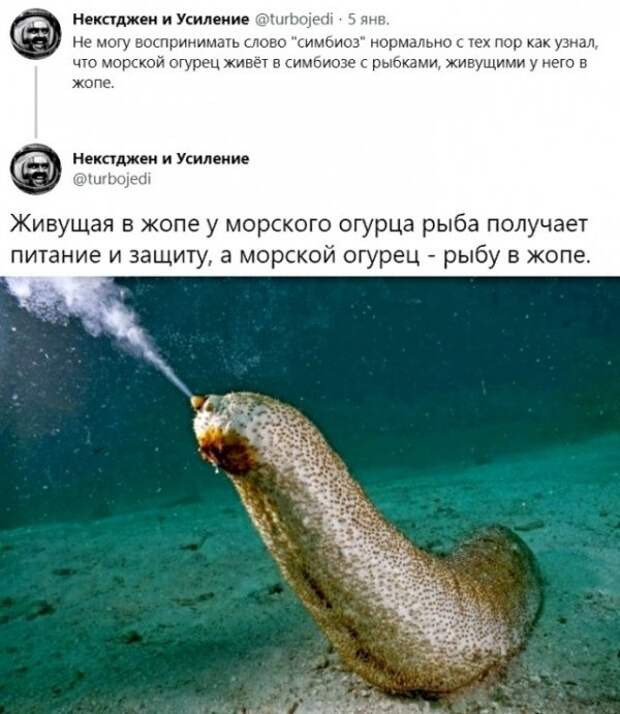 Юмор, юмор, юмор... Юмор, юмор, юмор...