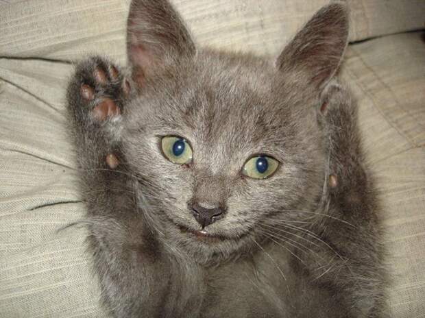 Давайте улыбаться вместе! :) (21повод)