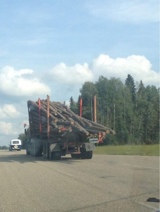 15 жутких фото: дорожка в ад подстерегает буквально на каждом шагу жуть, несчастный случай, ужас, фото