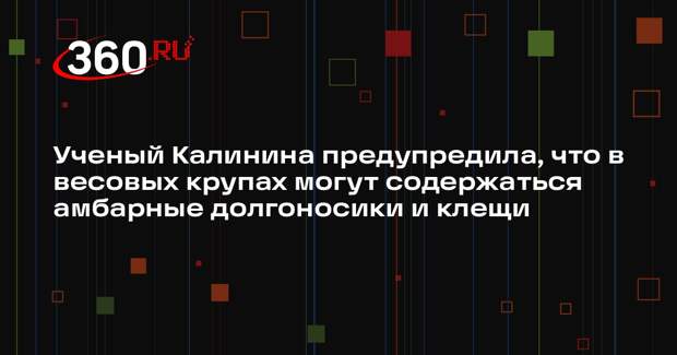 Ученый Калинина предупредила, что в весовых крупах могут содержаться амбарные долгоносики и клещи