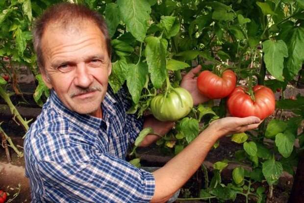 Самый удобный способ отмыть ванну