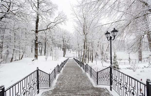 Геомагнитная буря и до -3 градусов: погода в Туле на 4 января