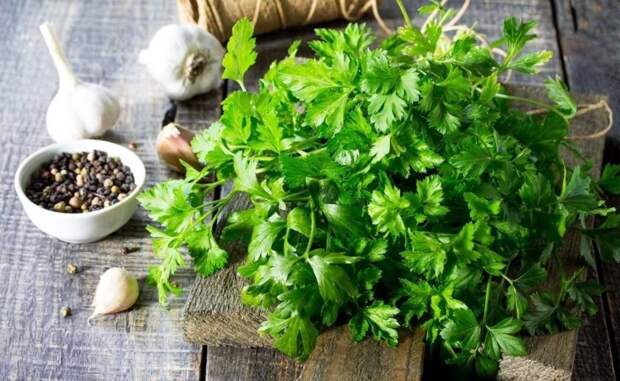 Заряжайтесь витаминами: виды самой полезной зелени