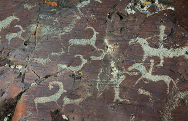 Таинственные петроглифы, врата в Шамбалу и другие тайны плато Укок