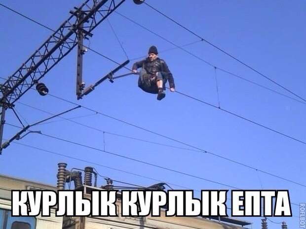 Подборка веселых картинок с надписями до слез (10 фото) Подборка веселых картинок с надписями до слез (10 фото)