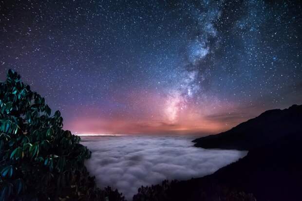27 самых интересных научных фотографий 2016 года