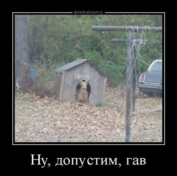 Свежие демотиваторы на Бугаге (17 шт)