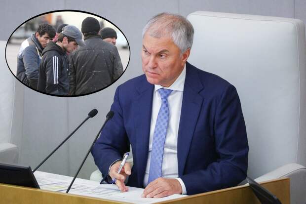 "Зачем их пускаете табунами?" Поводы для высылки мигрантов вызвали вопросы у россиян