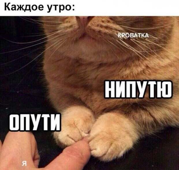 Немного смешных анекдотов (8 шт)