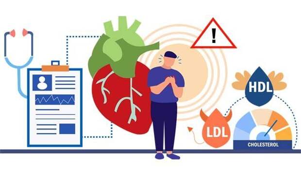 Плохой и хороший холестерин. 5 главных заблуждений о холестерине