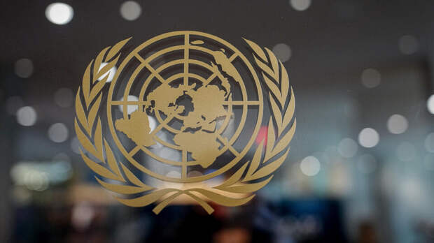 Россия потребует от ООН публичного осуждения удара ВСУ по Хорлам