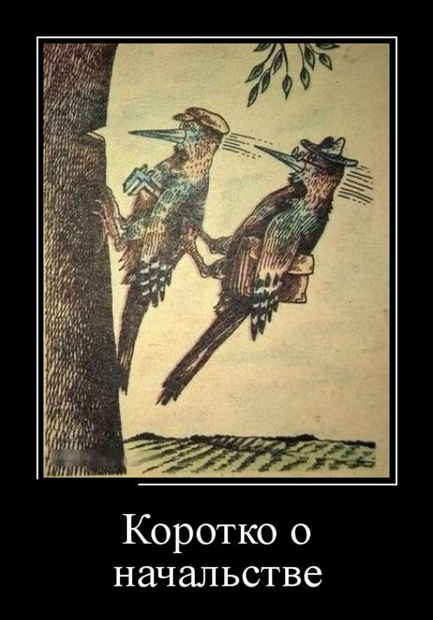 Демотиваторы (30 фото)