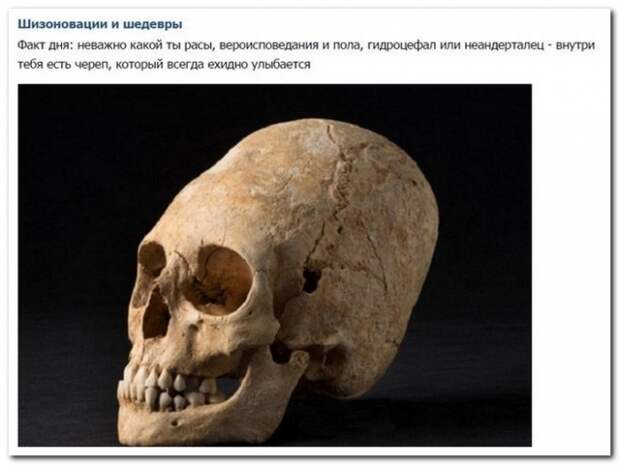 Прикольные комментарии из социальных сетей