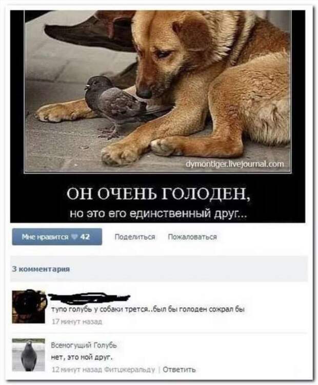 Смешные комментарии. Подборка chert-poberi-kom-chert-poberi-kom-49100416012021-4 картинка chert-poberi-kom-49100416012021-4