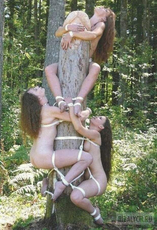 жуть из соцсетей