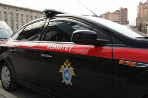 Глава ведомства затребовал доклад об обстоятельствах авиационного происшествия с частным вертолетом «Robinson» в Амурской области