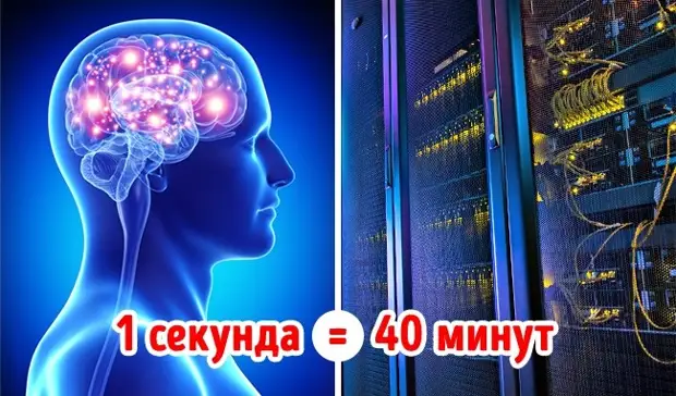 Память человека в гигабайтах. Мозг человека гигабайтах. Память мозга миллион гигабайт. 1000000 Гигабайт содержит человеческий мозг. Память 1 секунда