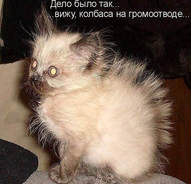 https://mur.tv/wp-content/uploads/2017/04/original-28.jpg