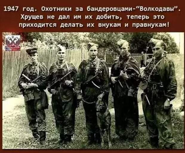 13924634.jpg