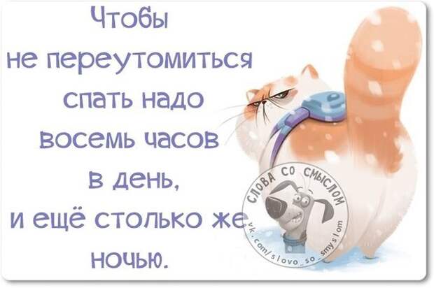 Интересные, стёбные и позитивные фразочки со смыслом (29 фото) Интересные, стёбные и позитивные фразочки со смыслом (29 фото)