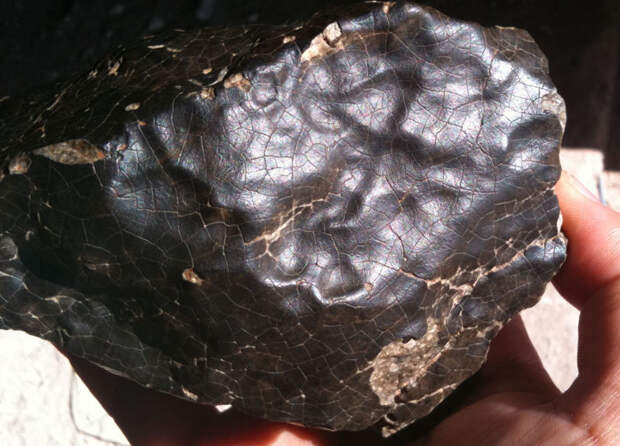 NASA обнаружило в метеорите внеземные формы жизни