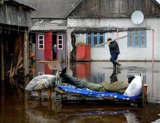 Спокойствие, только спокойствие! (36 фото)