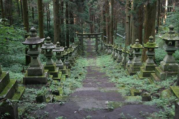 Японский священный лес