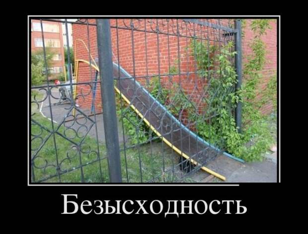 Веселые демотиваторы для настроения (11 фото) Веселые демотиваторы для настроения (11 фото)