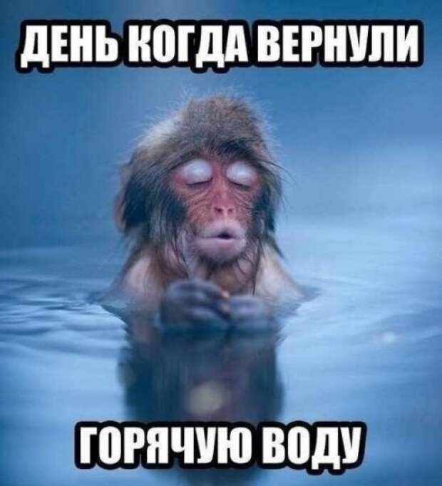 Коллекция прикольных кaртинок со смешными подписями  прикол, юмор