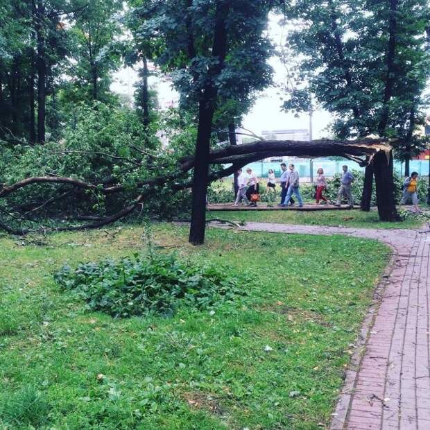 На Москву обрушилась сильнейшая за последние 28 лет гроза На Москву обрушилась сильнейшая за последние 28 лет гроза