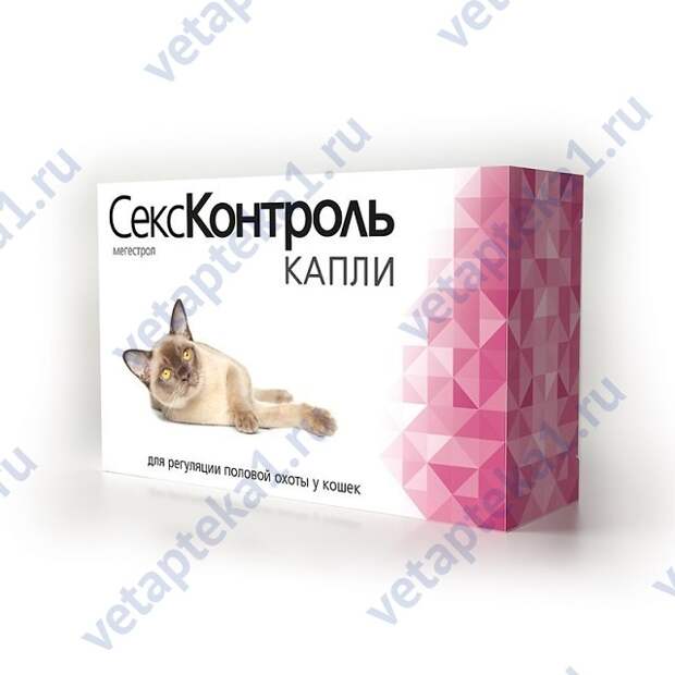 Картинки по запросу антисекс