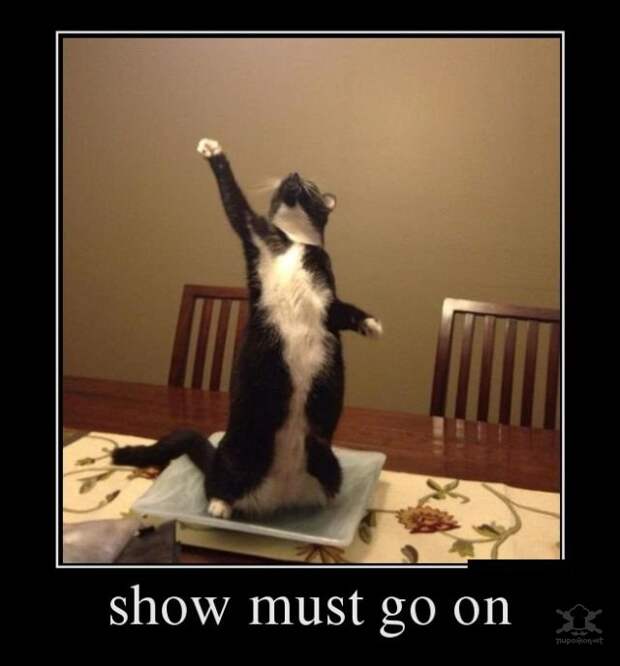 Демотиваторы